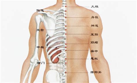 背有痣男|后背长痣代表什么含义男 男人背上有痣代表什么